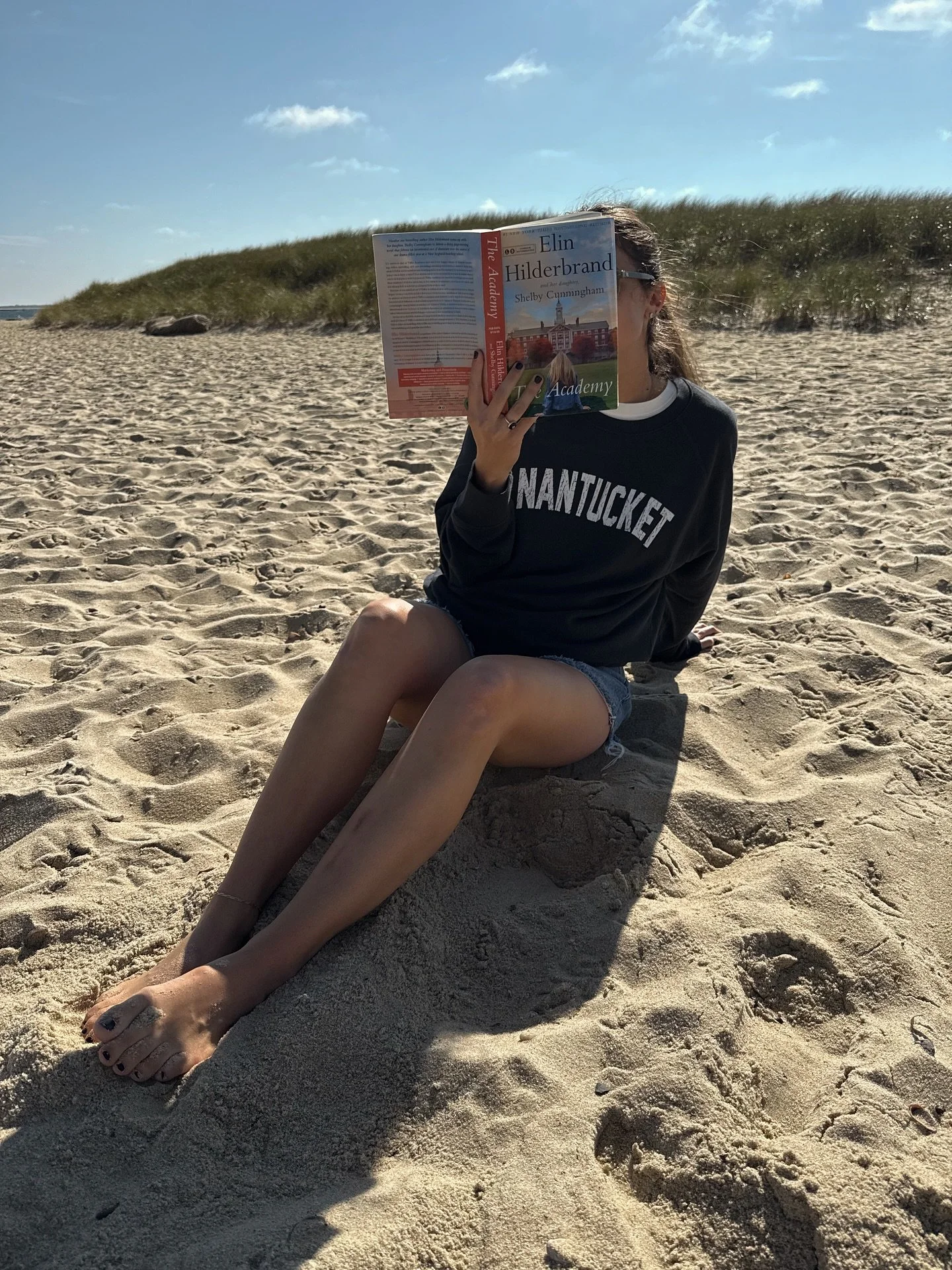 ⭐️⭐️⭐️⭐️💫
As an Elin STAN, I greeted the news that she was coming out with a fall novel set at a prestigious boarding school with absolute GLEE. I love an academic setting, and while I&rsquo;m accustomed to reading Elin&rsquo;s descriptions of the i