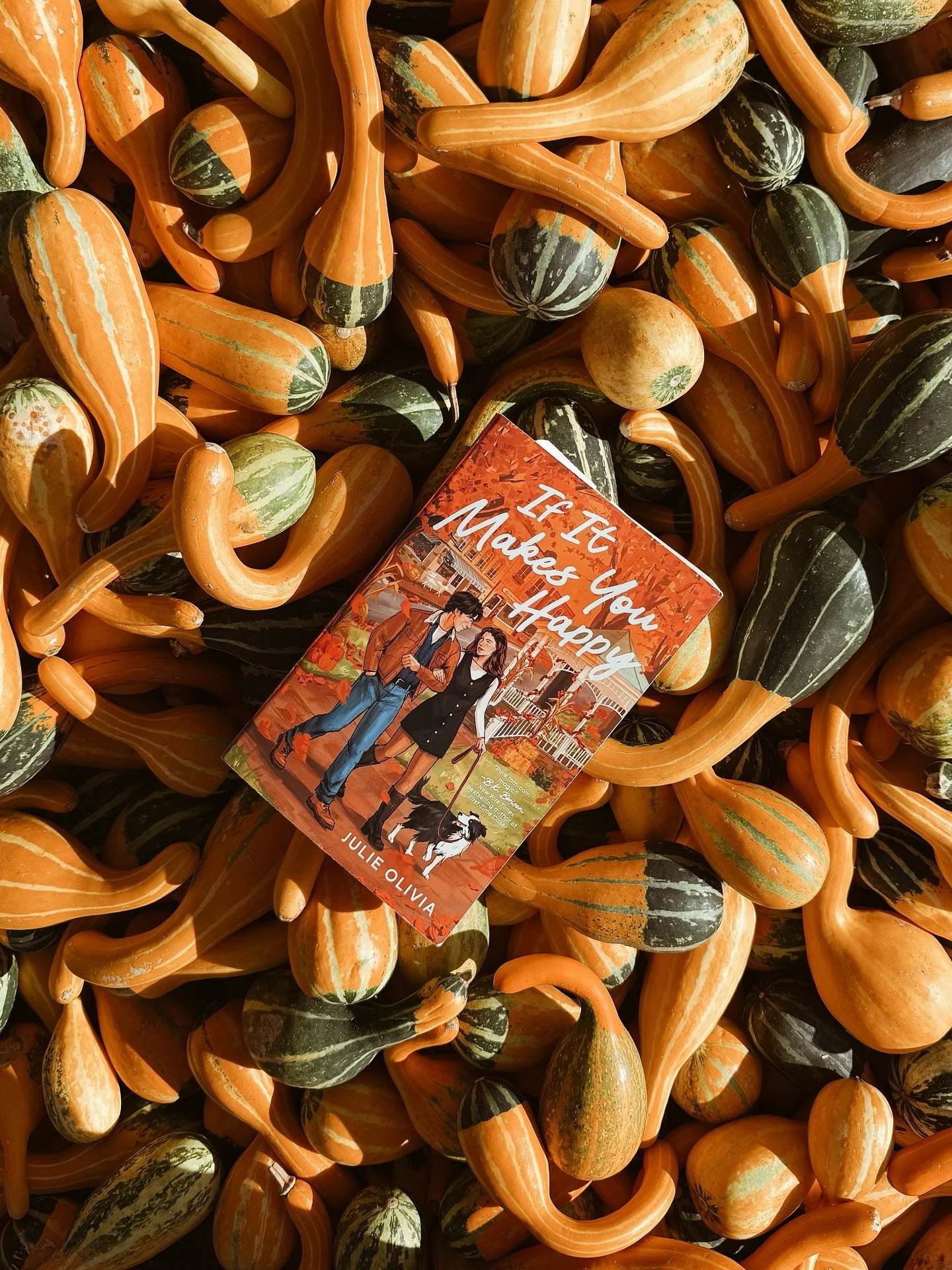 ⭐️⭐️⭐️💫(3.75/5, fall romance)
There was so much to love about this book: immaculate fall vibes, two lovable kids who made me feel like I was visiting an episode of Full House, a small town filled with charm, and it was all set in 1997, so there was 