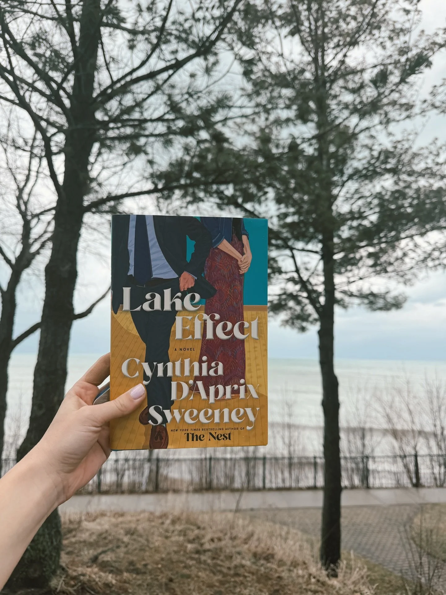 ⭐️⭐️⭐️⭐️(4/5, fiction)
The synopsis that I read and the book I experienced are totally different in my humble opinion! This book is really a slice of life in the 1970s. You&rsquo;re dropped into a suburb of Rochester, NY, in the winter of 1977, alter