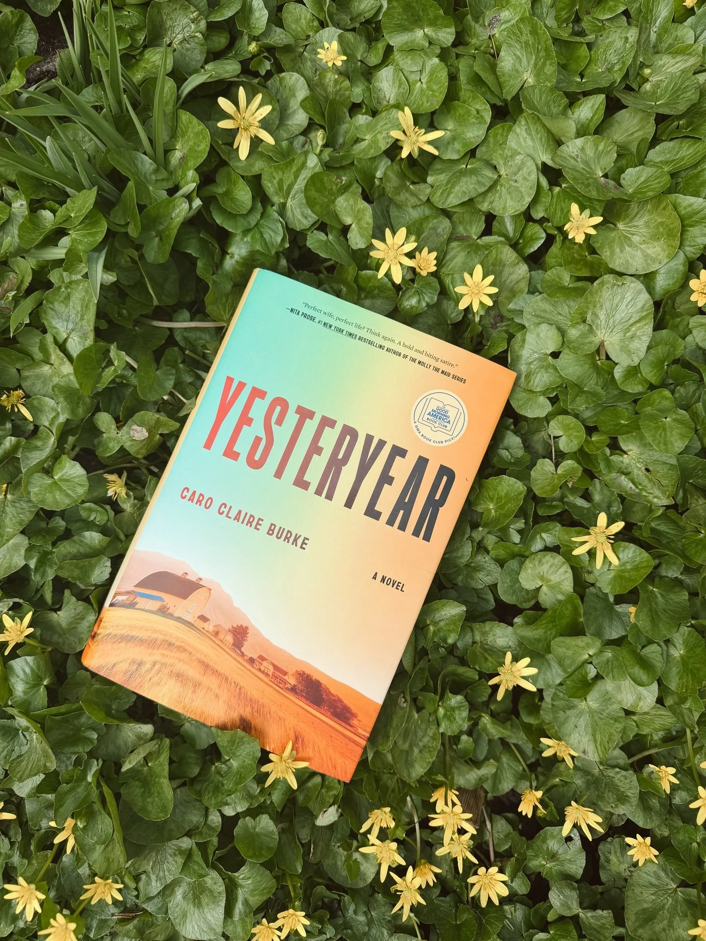 ⭐️⭐️⭐️⭐️⭐️(5/5, fiction)

I was just totally gobsmacked by this book! Brilliant, biting, and impossible to look away from. This is not a light and fluffy read! It had me running the full gamut of emotion. Rage &amp; stress were the emotional frontrun