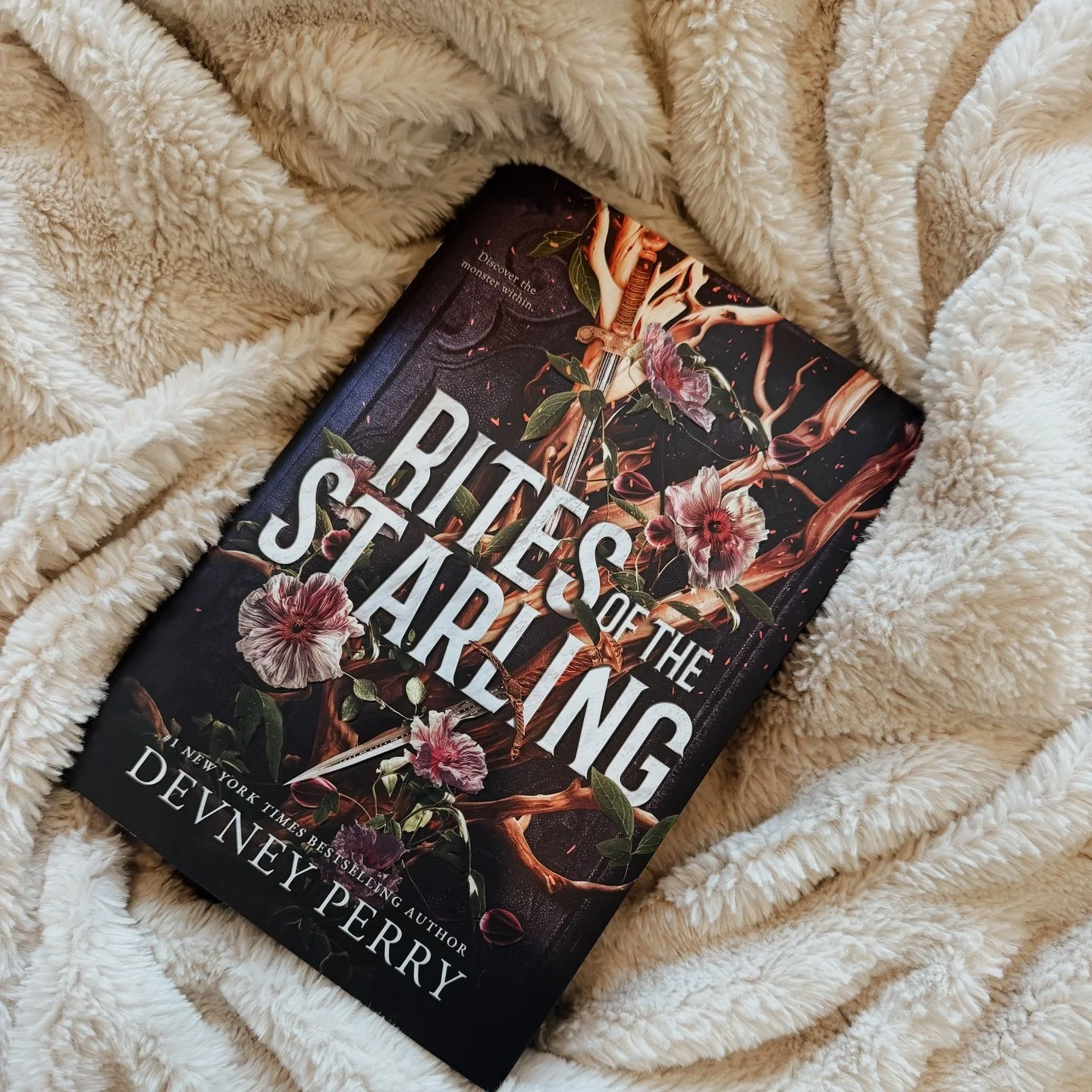 ⭐️⭐️⭐️💫(3.5/5, romantasy) 
Shield of Sparrows Book #2 (trilogy)
WHEW, this book was a whirlwind! Just as many BR&amp;B readers had cautioned, this is a slow burn romantasy, slow burn not in the romantic sense but in the world-building sense. You hav