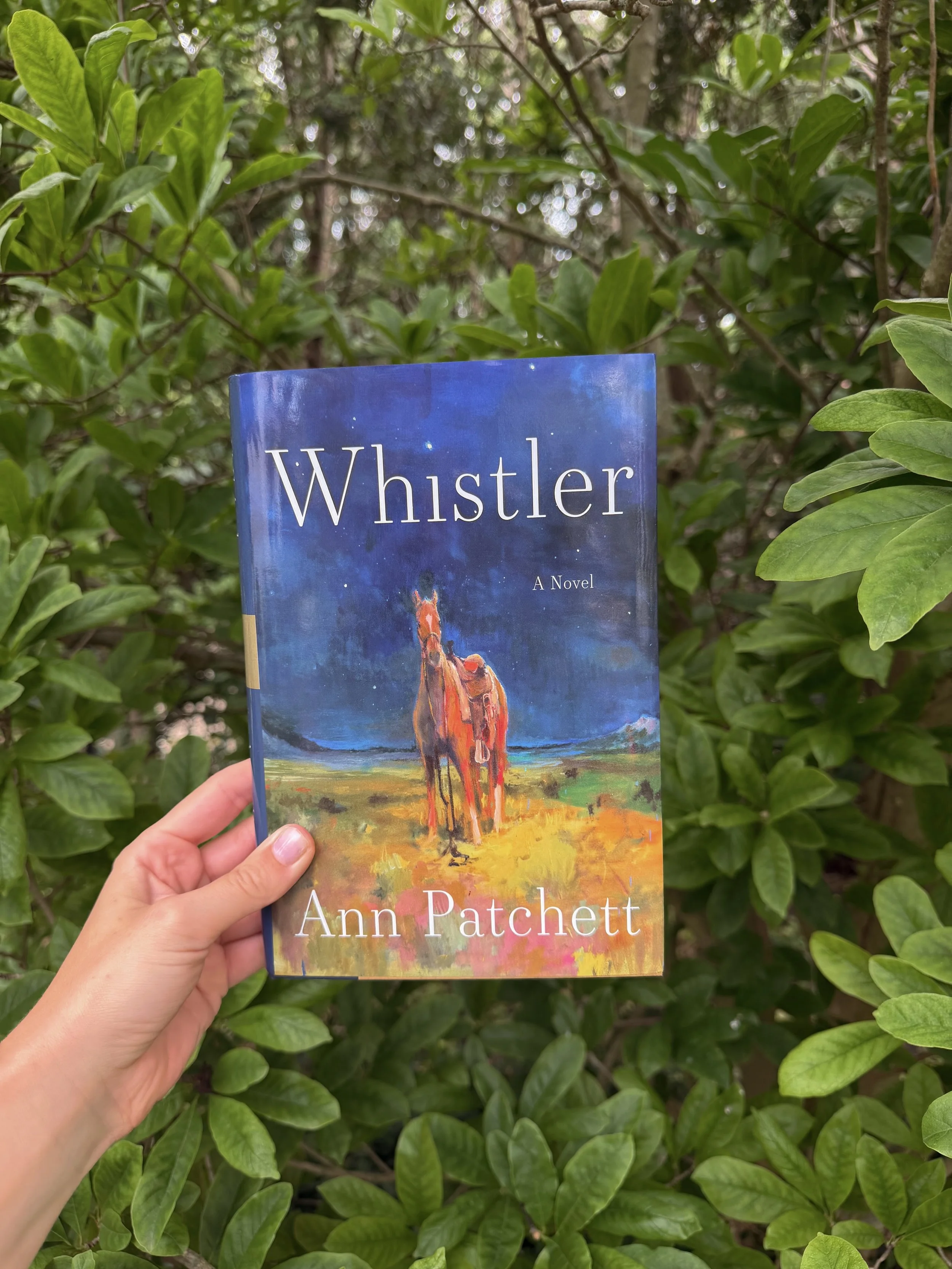 ⭐️⭐️⭐️⭐️⭐️ (5/5, fiction)
Calling Ann Patchett a talented storyteller is like informing you that an ice cold lemonade is refreshing on a summer day. Tangy, freshly squeezed lemonade was made to be enjoyed with the sun on your face, and Ann Patchett d