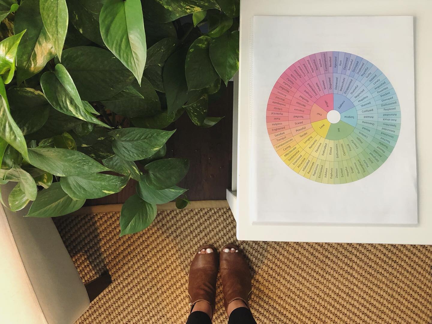 Sometimes you don&rsquo;t know how you feel, and that&rsquo;s okay!

Feelings/ emotions can be hard to identify, especially if we&rsquo;ve never learned about them.

Luckily, in my office at @coasthealthcollective I now have a feelings wheel to help 