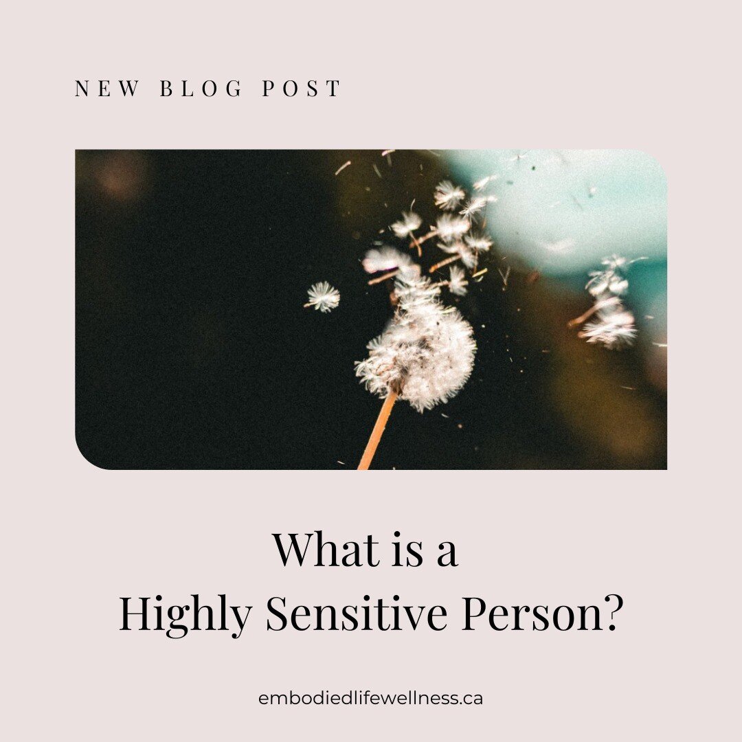 NEW BLOG POST:

What is a Highly Sensitive Person?

Check out the link in my bio to find out.

It's short, sweet, and to the point- I promise. 😘

Enjoy and let me know what you think! 🤍