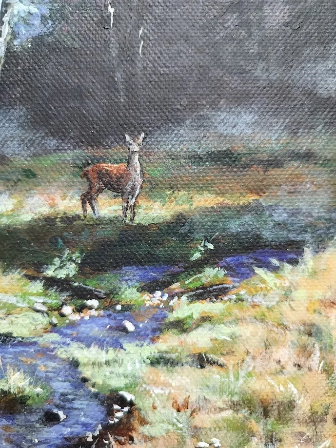 Silderup Væld (2).jpg