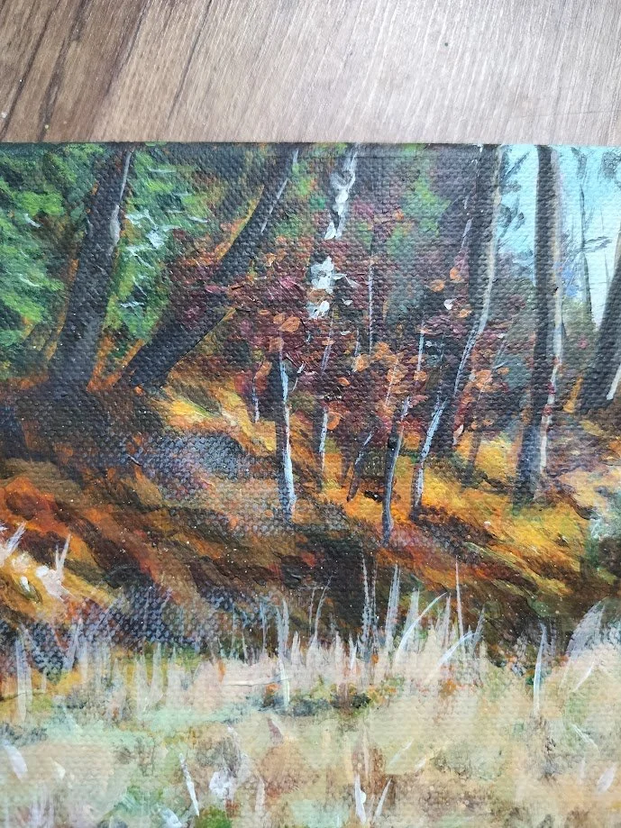 Silderup Væld (6).jpg