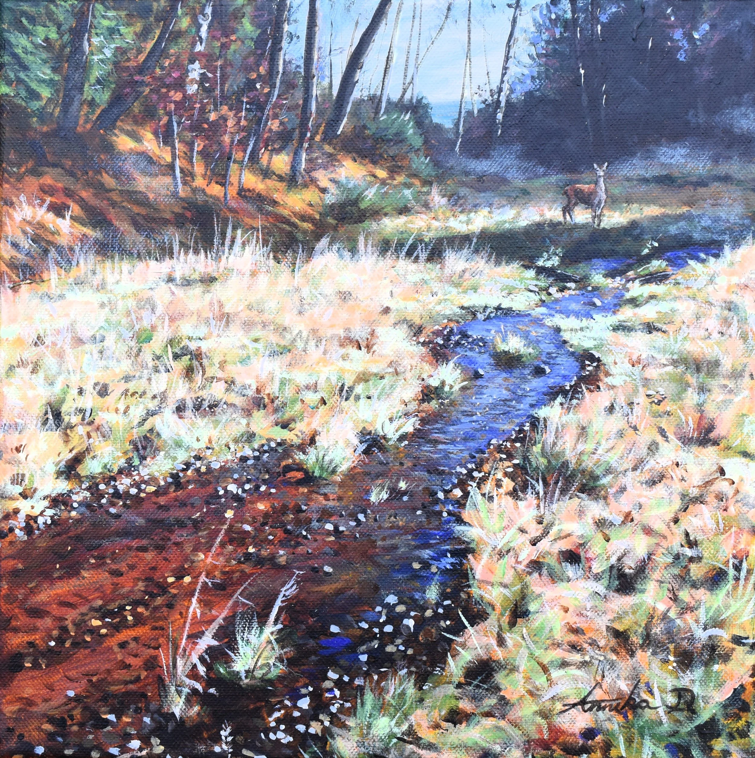 Silderup Væld (1).JPG