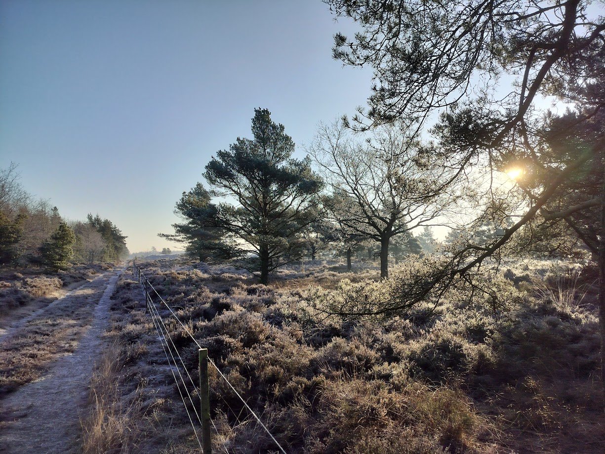 IMG20260120102618.jpg