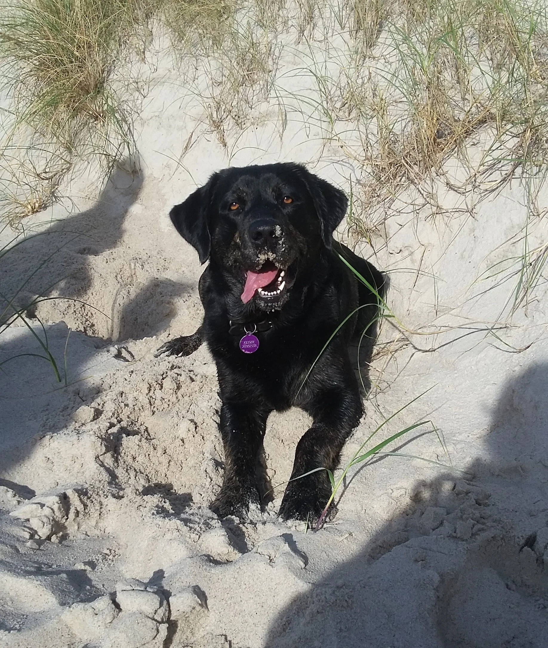 Kejser på strand (6).jpg