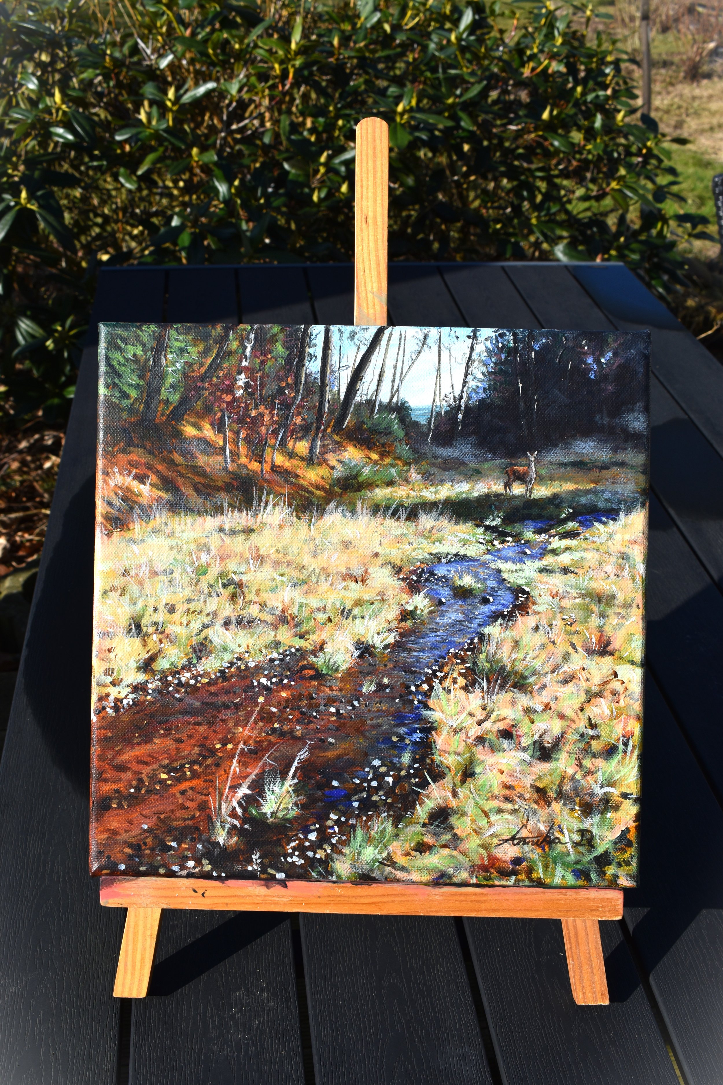 Silderup Væld (4).JPG