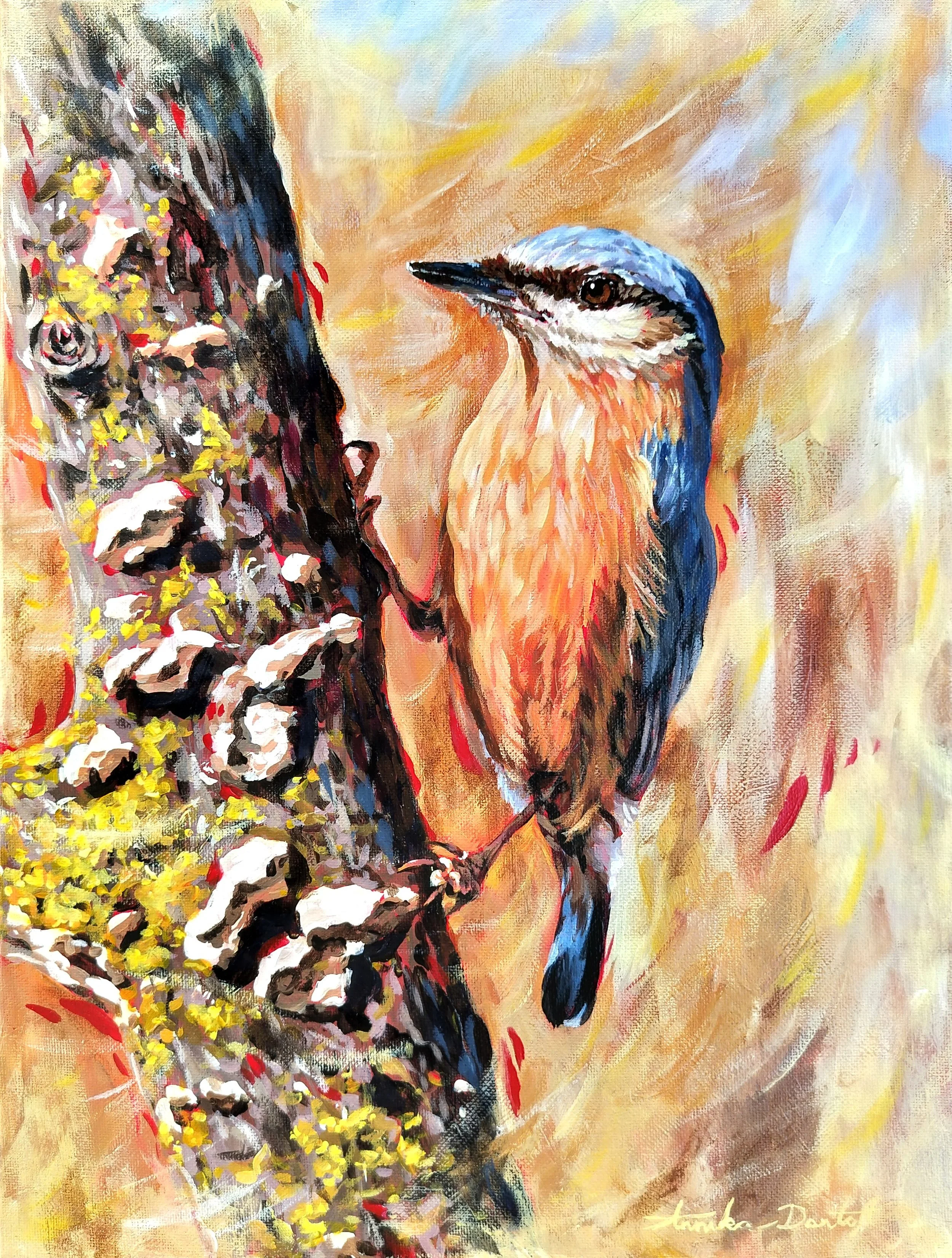 Nuthatch (1).jpg