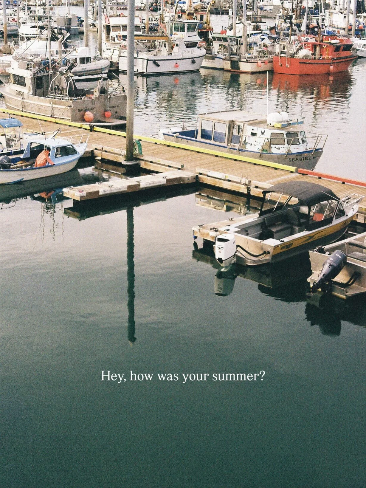 Little film moments from this summer 🏡🎞️

#naturaldyeing #naturaldye #textiles #filmphotography #canonae #summermoments #alaska #alaskasummer