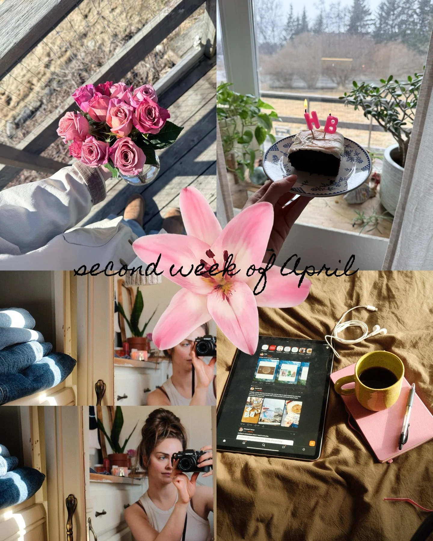 Birthday flowers are the best kind 💐 

#weeklyrecap #31st #birthdayflowers #journal #inspiration