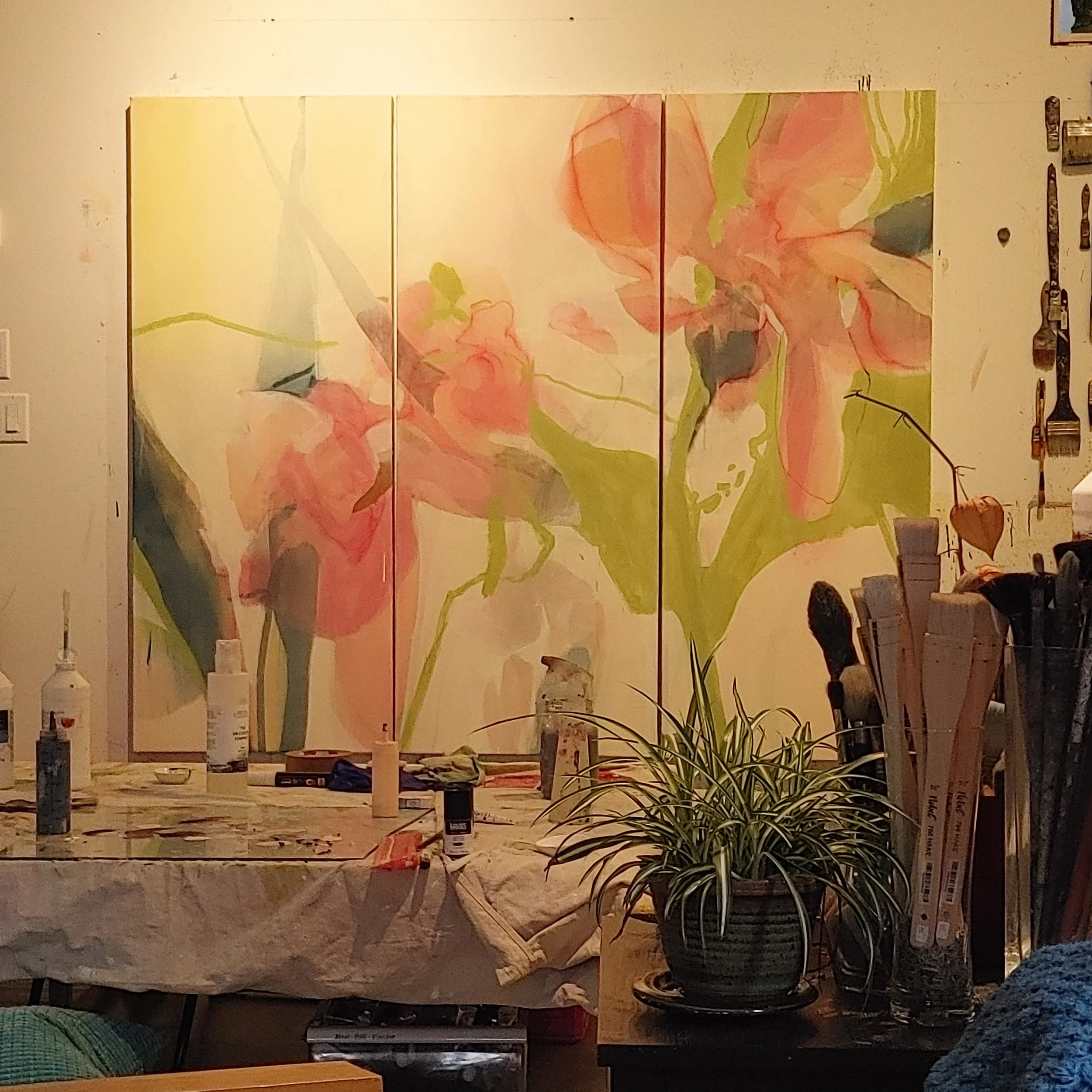 20250518_140624_Original.jpeg