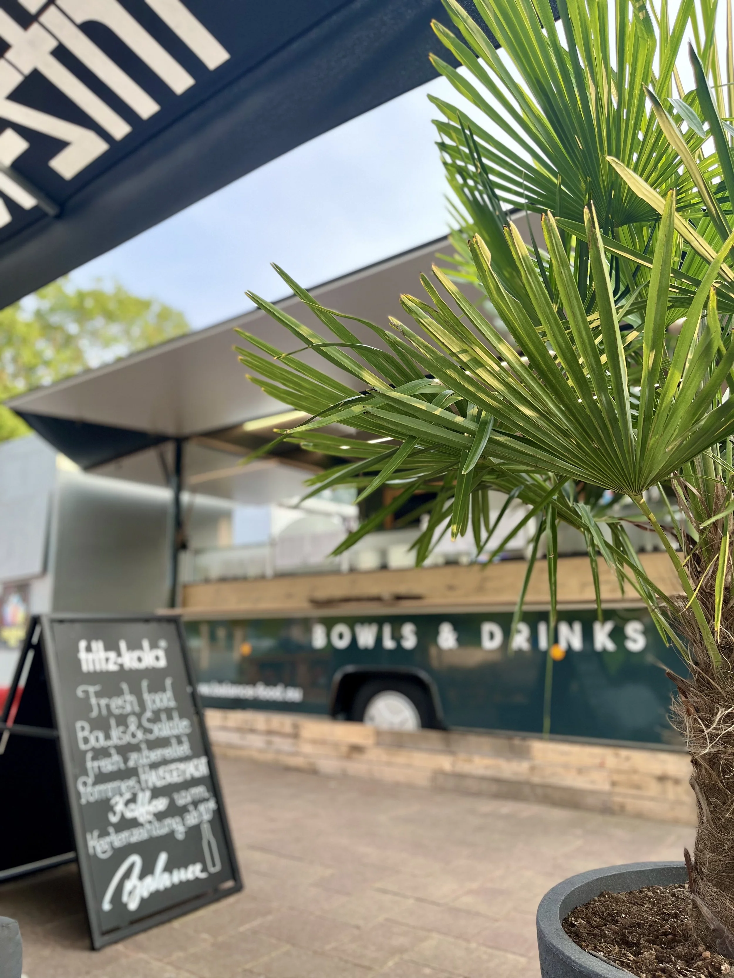 Nahaufnahme eines Palmen in einem Pflanzkübel vor einem Food-Truck mit Aufsteller. Der Food-Truck hat die Aufschrift "Bowls & Drinks".