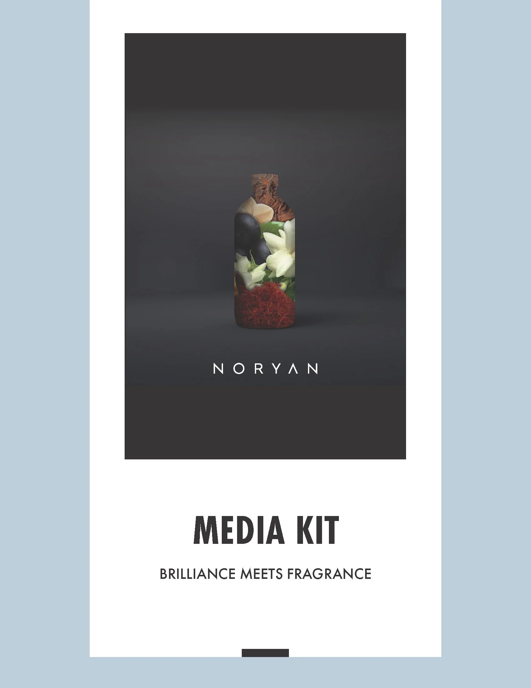 Noryan Media Kit_Page_1.jpg