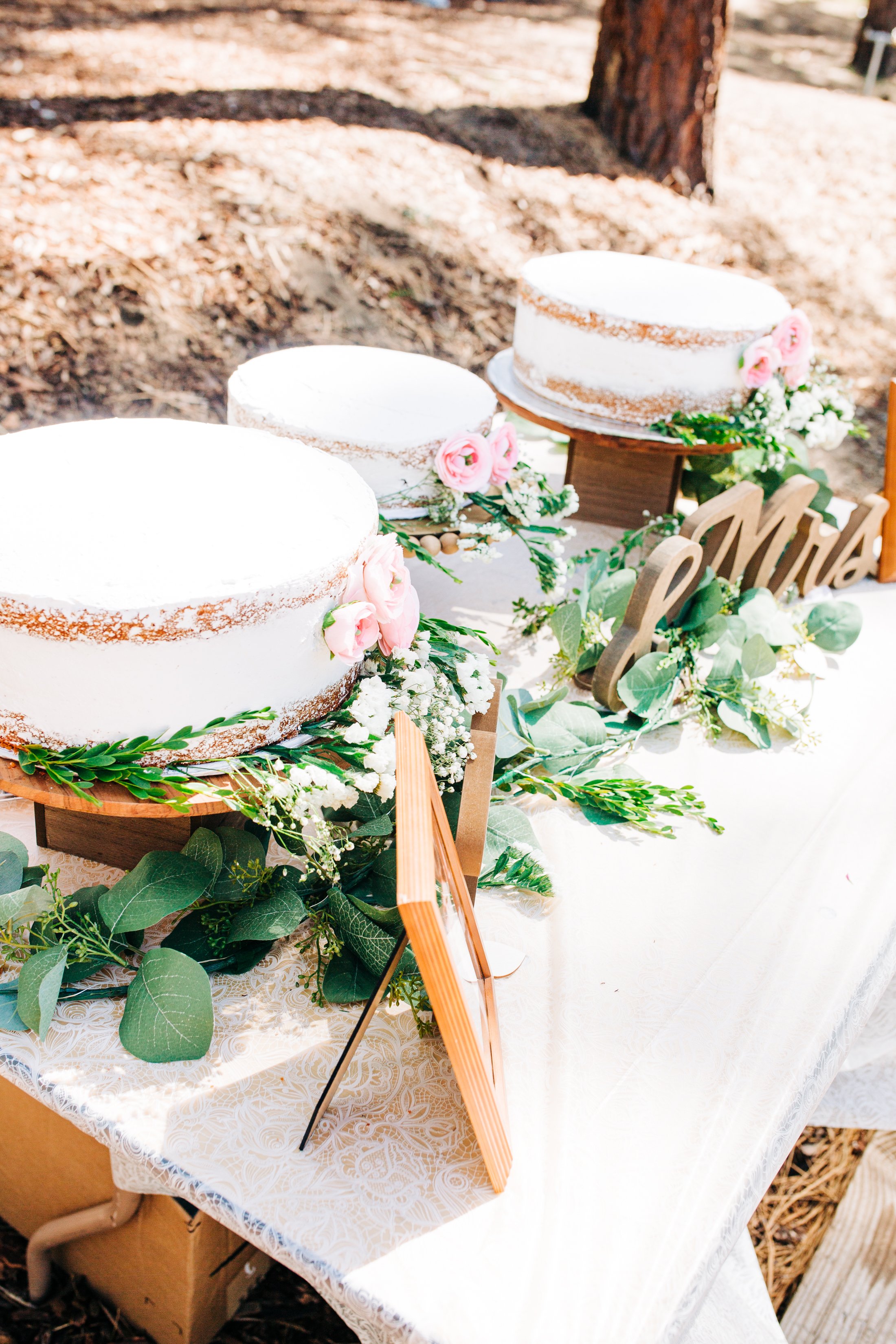 naked wedding cake.jpg