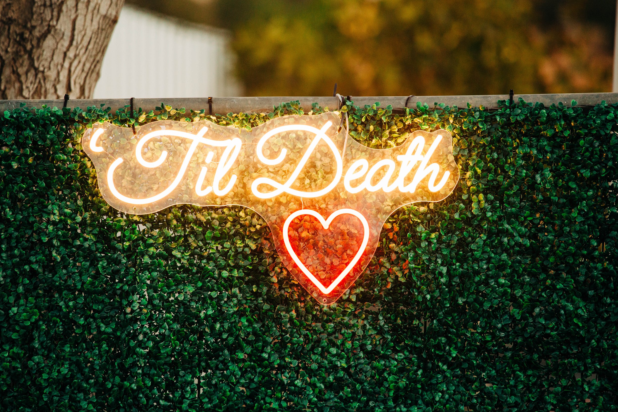 till death neon sign wedding.jpg