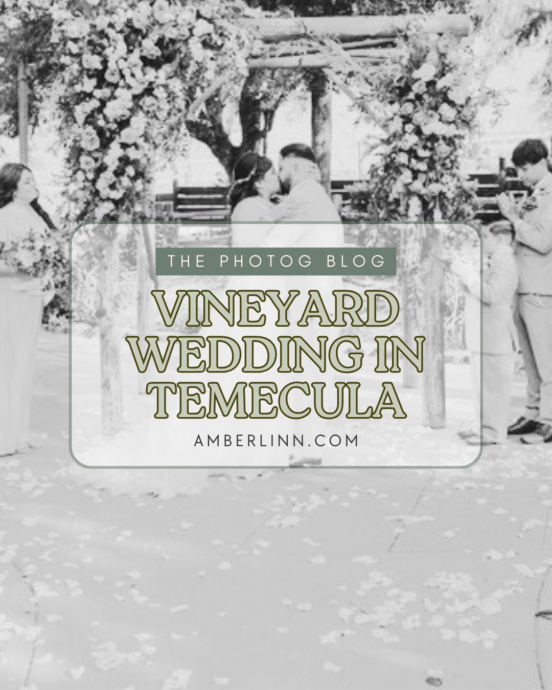 Vineyard Wedding in Temecula, California