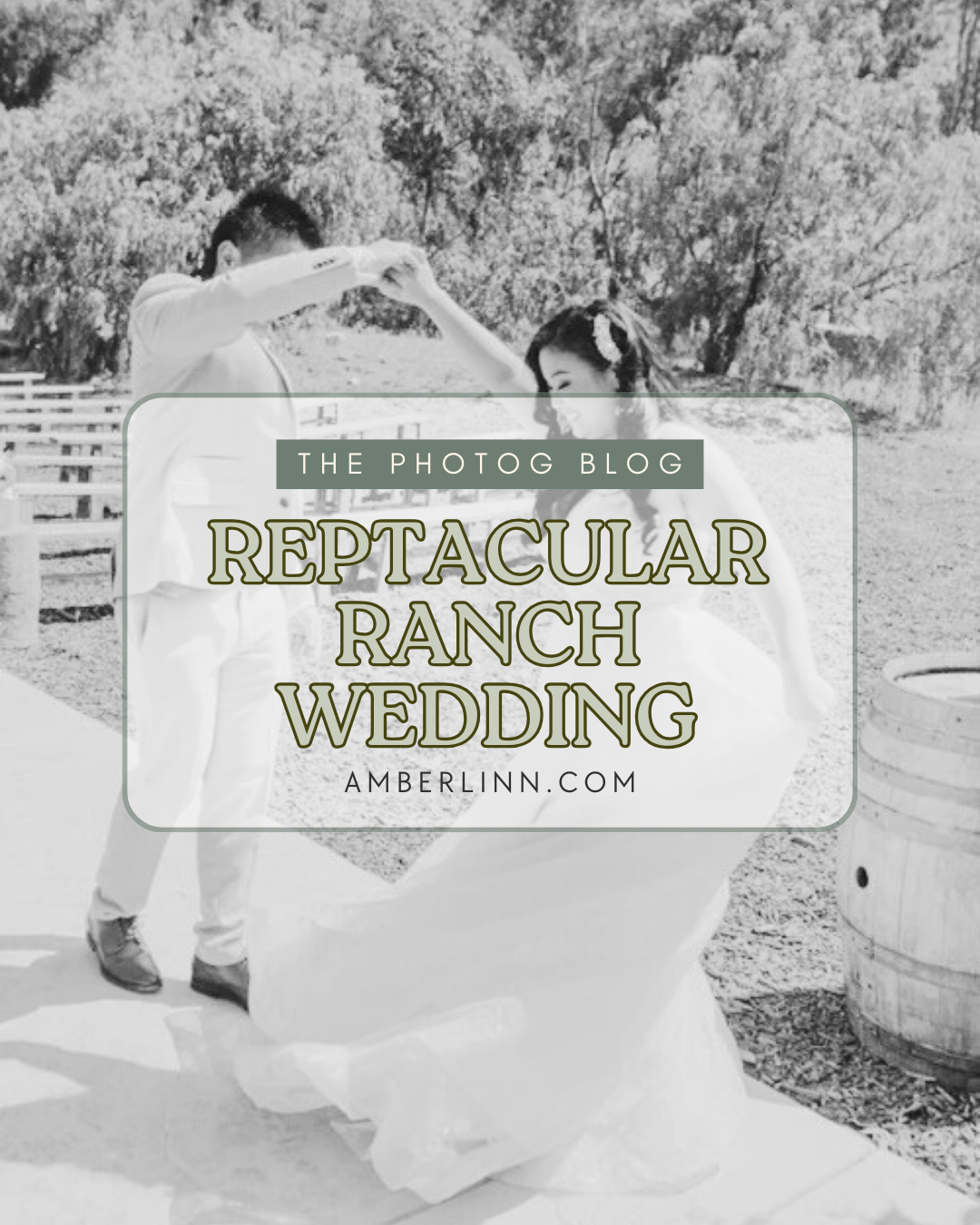 Reptacular Ranch Wedding | Brian + Cindy