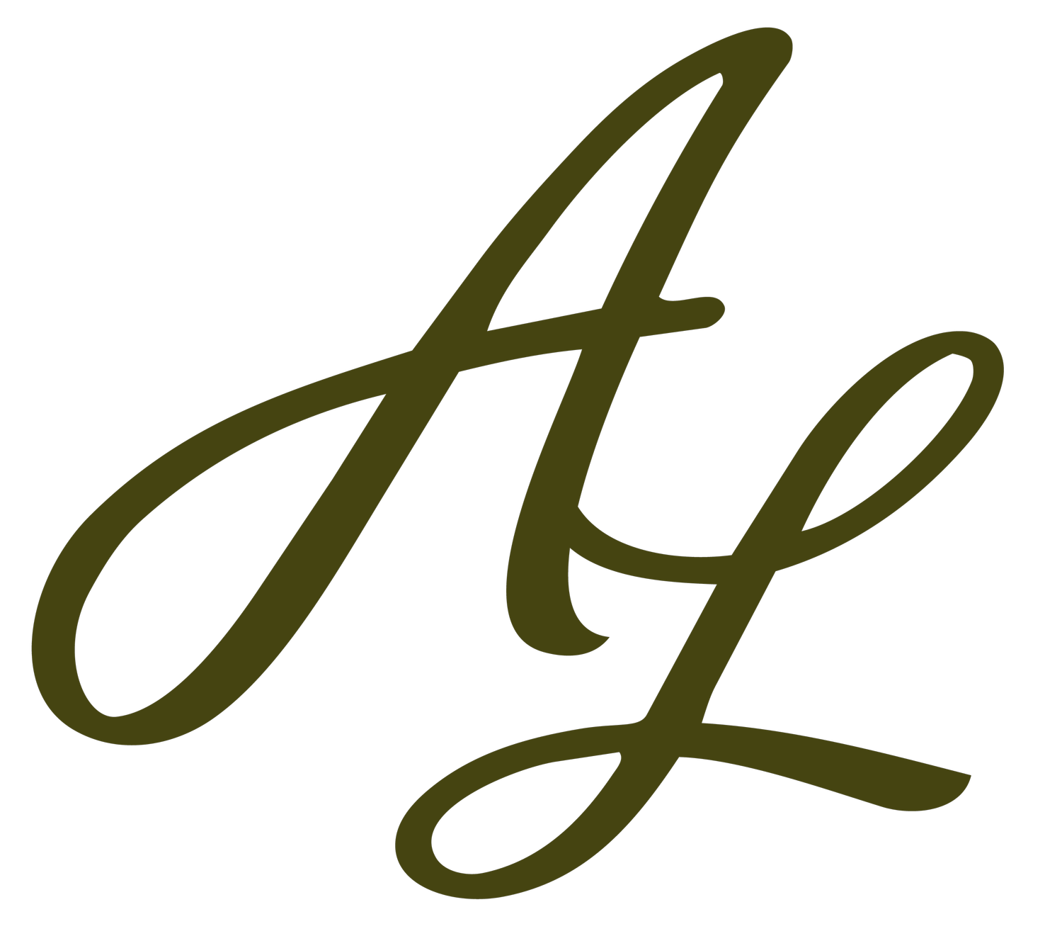 Amber Linn Photography | Palm Springs Photographer