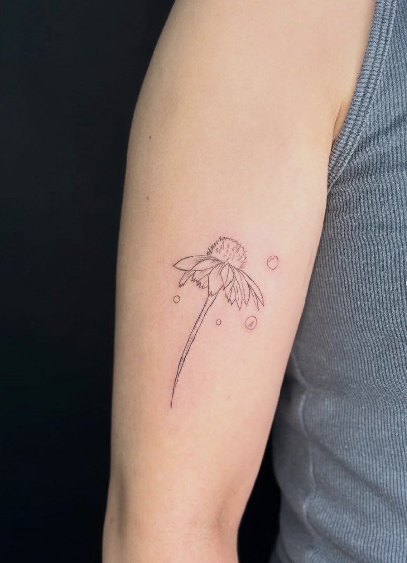 Stephanie (Apprentice)