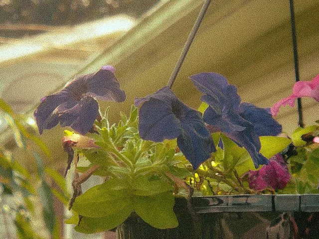 DSC01661.JPG