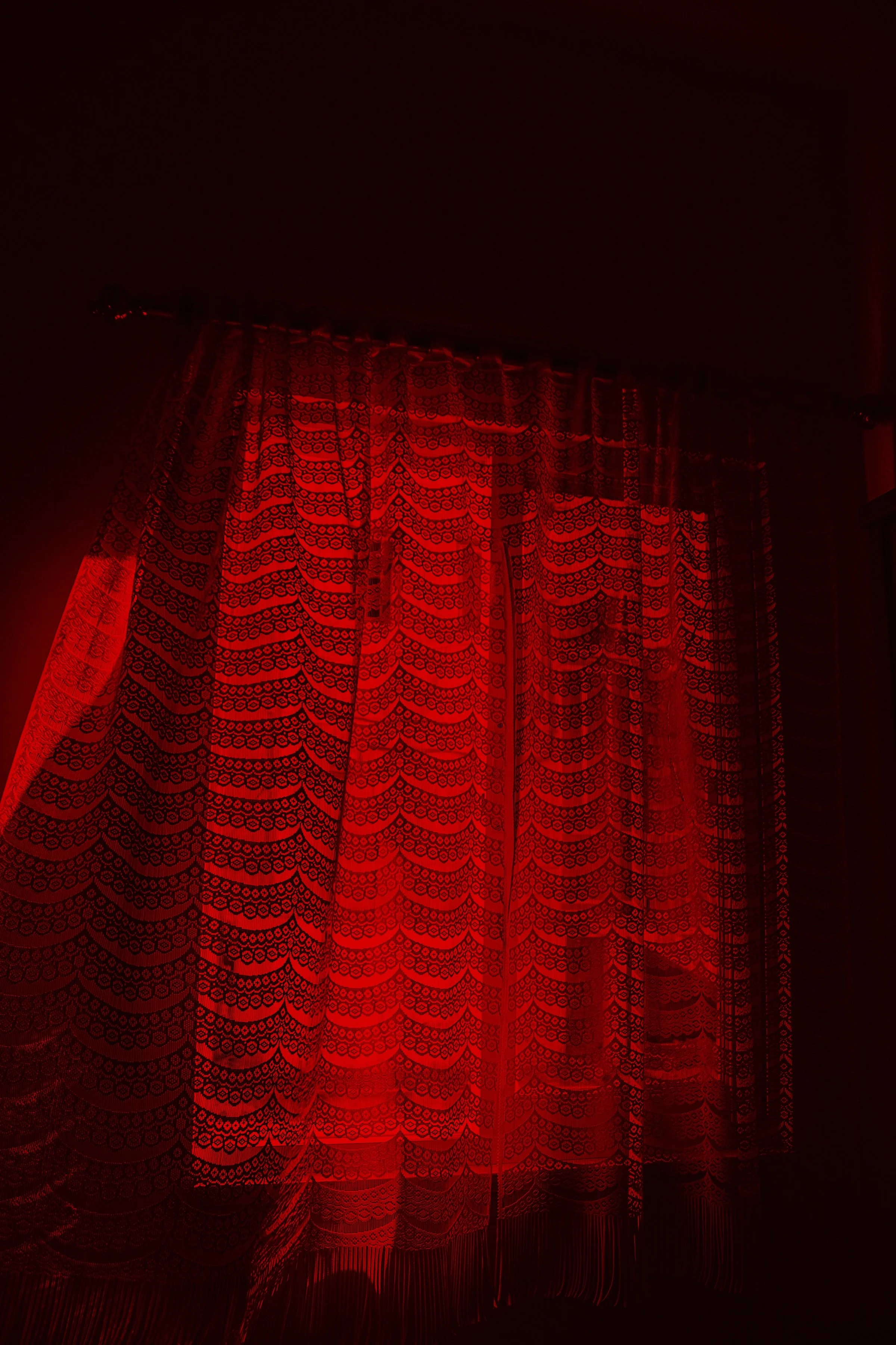 2O9A4103.JPG