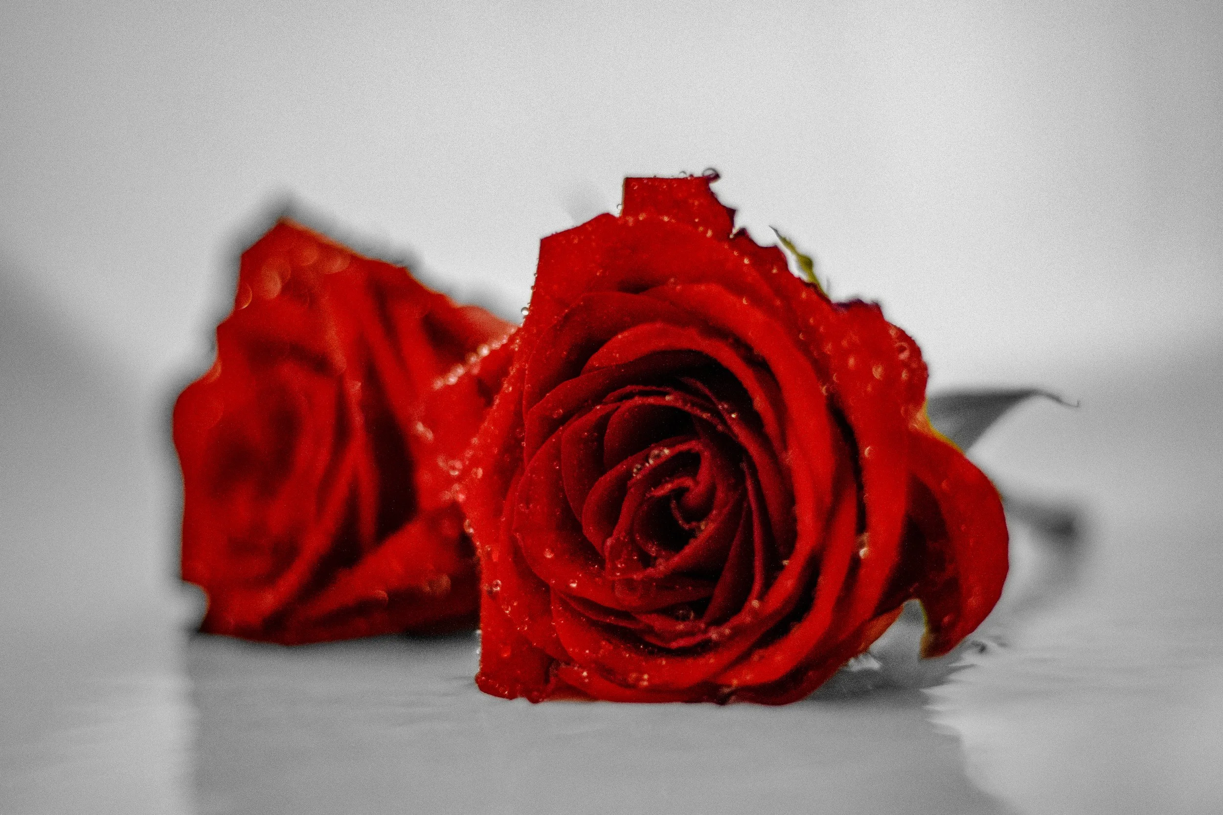 IMG_9624.jpg