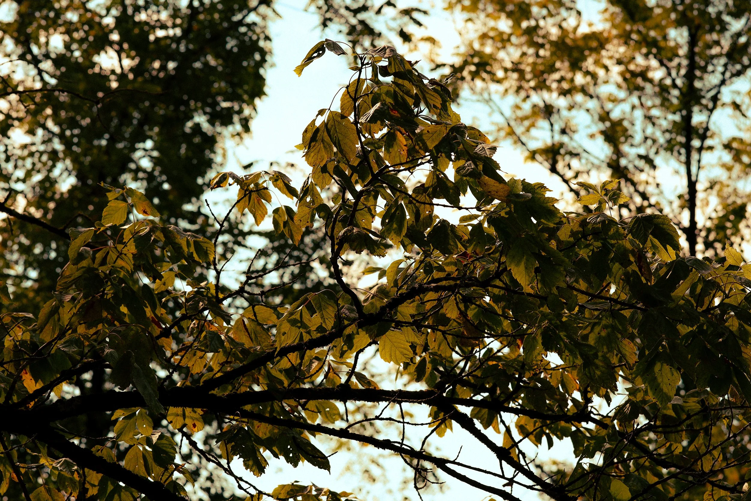 2O9A3834.JPG