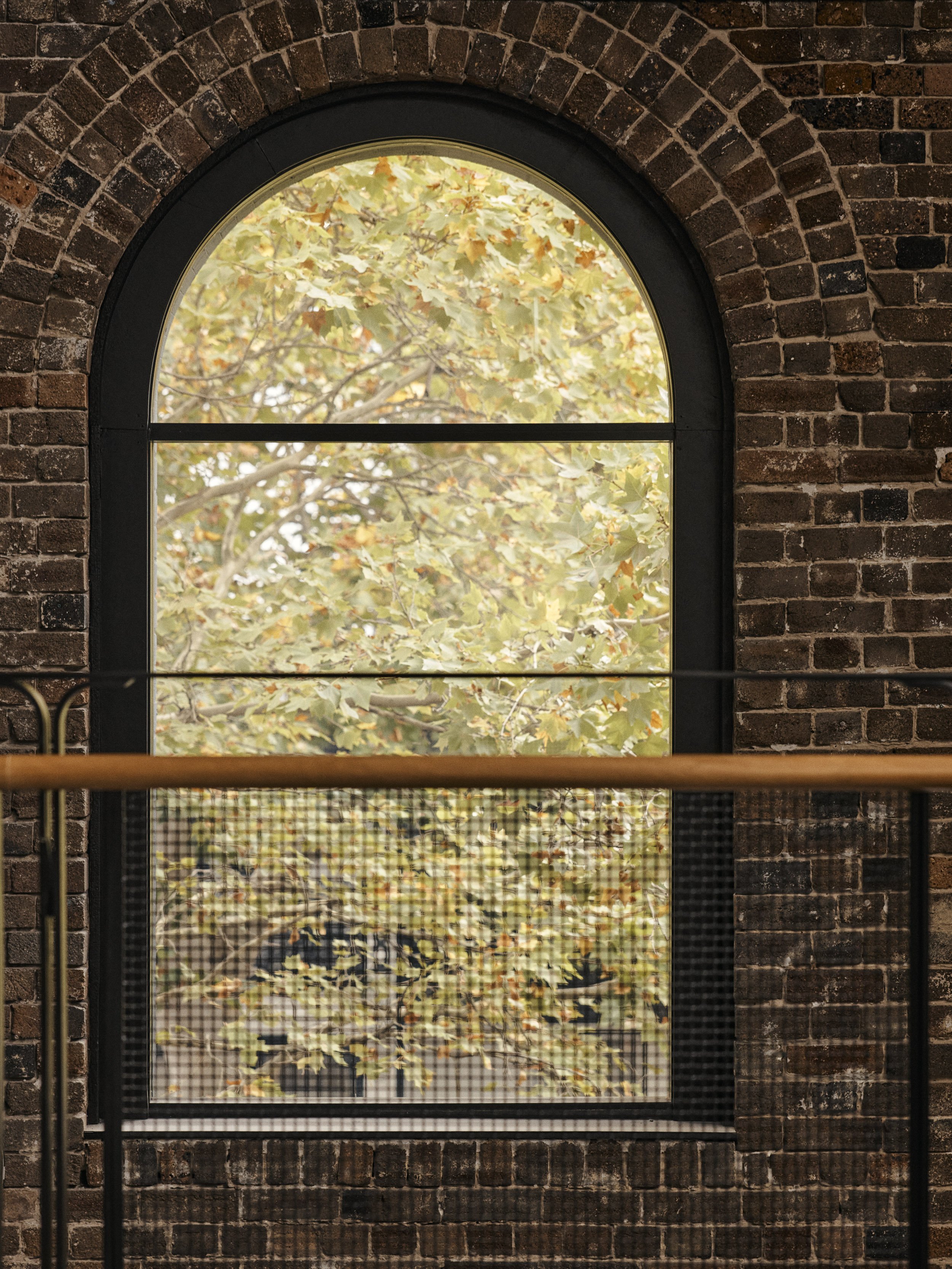 Michiru Higginbotham - The Bottle Cap Factory - Steel framed windows
