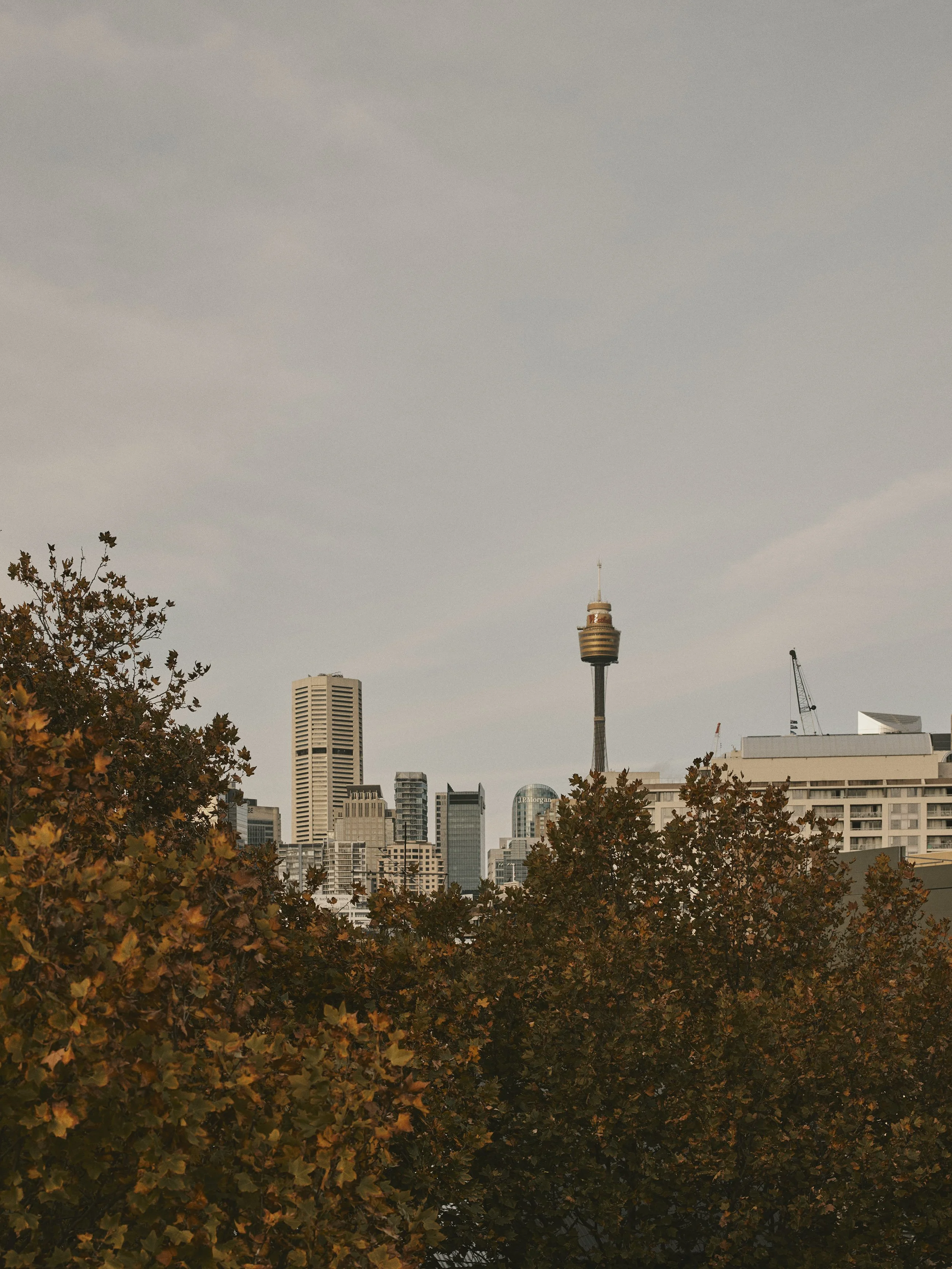 MICHIRUHIGGINBOTHAM_VINTA_PYRMONT_050226_0070.jpg