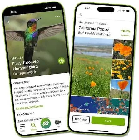 6 Apps Every Nature Lover Should Have