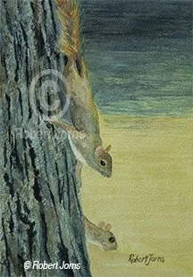 Curious Squirrels. Sig.jpg