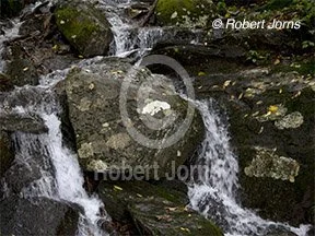 Lichen Rock Waterfall ©
Photographic Based Digital Painting
On W/C Paper
14”w x 11”h Digital Painting