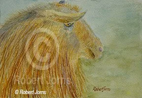 Goat Mane ©
Watercolor On 100% Rag WC Paper
10"w x 7"h Painting