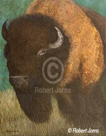 Roosevelt Buffalo Bull ©
Acrylic On Canvas
11”w x 14”h Painting
Gallery Wrap