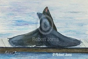 Lover's Nuzzling ©
Watercolor On 100% Watercolor Paper
9"w x 6"h Painting