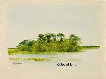 Intracoastal Island ©
Watercolor On 100% Rag WC Paper
11.5”w x 7.5”h Painting
Unframed