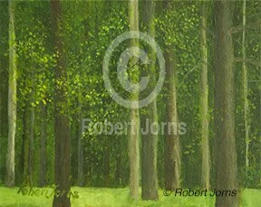 Through Evening Trees H.L.C.S.P. ©
Acrylic On Canvas Panel
10"w x 8"h Painting
Plein Air