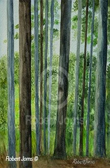 Hamburg Pines Spring 26 ©
Watercolor & Gouache On 
100% WC Paper
8"w x 12"h Painting