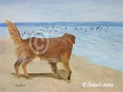 The Golden Gull Chaser ©
Acrylic On 499 LB Rag W/C Paper
24"w x 18"h Painting