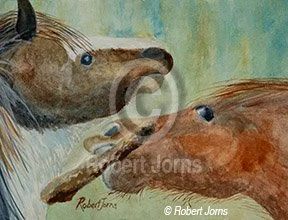 I've Got It - Mine ©
Watercolor On 100% Rag WC Paper
8"w x 6"h Painting