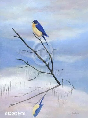 Bluebird Reflection ©
Oil On Board
18”w x 24”h Painting