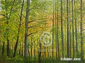 Sunset Grove Of Trees - April ©
Oil On Canvas
16"w x 12"h Painting