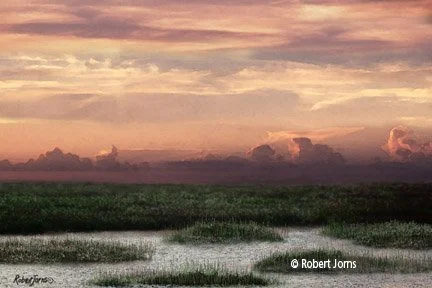 Coastal Marsh Sunset ©
Digital Painting On 100% Rag W/C Paper
18”w x 12”h Digital Painting
Contact Artist For Price