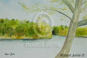 Looking Down The Lake ©
Watercolor On 100% WC Paper
12"w x 8"h Painting