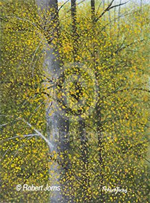 View From My Studio Window ©
Acrylic On Canvas
9"w x 12"h Painting