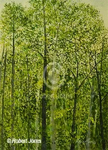 Late April Tree Grove ©
Gouache On 100% Rage WC Paper
10"w x 14"h Painting