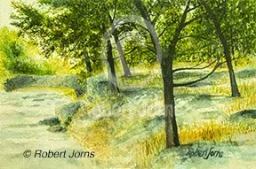 I.S.S.P. Creek Bridge Walkway ©
Watercolor On 100% Rag W/C Paper
12"w x 8"h Painting 